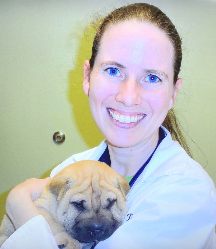 Dr. Ginger Tran, best veterinarian in Wake Forest, NC
